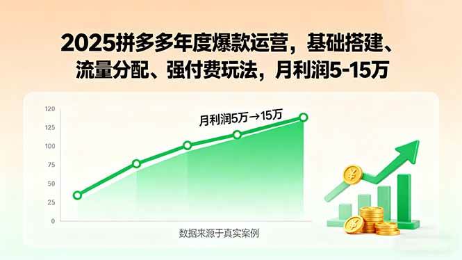 （15973期）2025拼多多年度爆款运营，基础搭建、流量分配、强付费玩法，月利润5-15万-小千网络