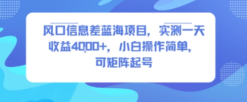 风口信息差蓝海项目，实测一天收益4k+，小白操作简单，可矩阵起号-小千网络