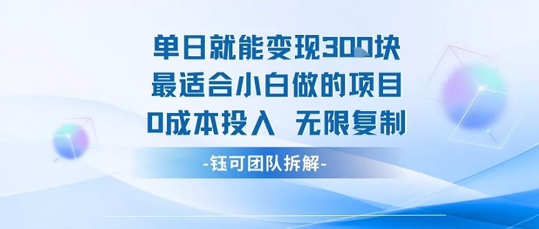 单日就能变现3张最适合小白做的项目0成本投入 无限复制-小千网络