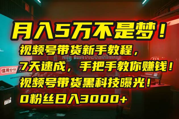 （15595期）月入5万不是梦！视频号带货新手教程，7天速成，手把手教你赚钱！视频号…-小千网络