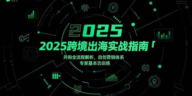 （15503期）2025跨境出海实战指南，并购全流程解析，自创营销体系，专家基本功训练-小千网络