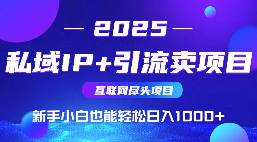 （15531期）2025网创尽头项目，私域IP+引流，新手小白也能在家日入1000+-小千网络