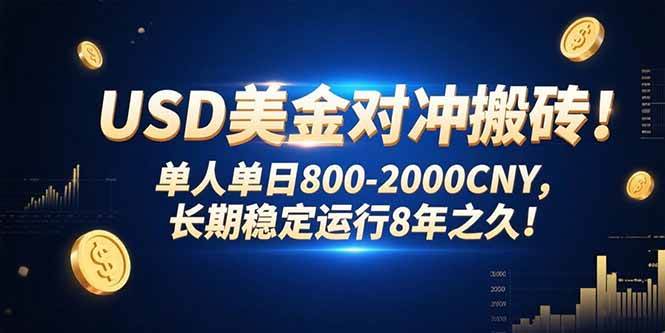 （15551期）USD美金对冲搬砖!单人单日800-2000CNY，长期稳定运行8年之久!-小千网络