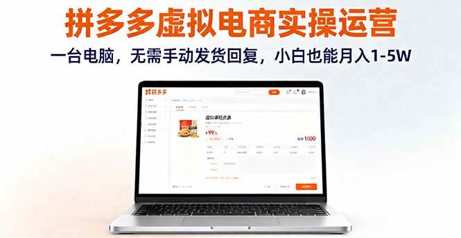 （16138期）拼多多虚拟电商实操运营，一台电脑，无需手动发货回复，小白也能月入1-5W-小千网络