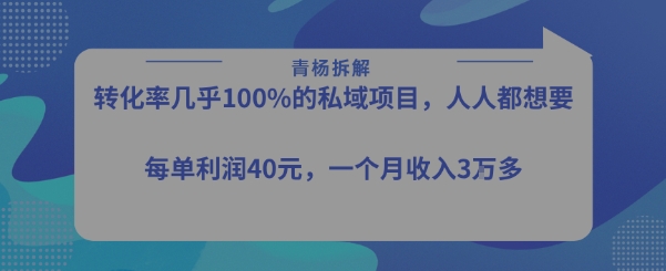 转化率最高的私域项目，每单利润40-50米，月入过1w-小千网络