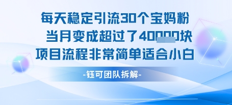 每天稳定引流30个人 当月变成超过了4个W项目流程非常简单适合小白-小千网络