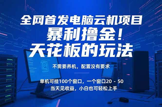 （15323期）电脑云机项目 暴力撸金玩法，不需要养机 配置没有要求 单机100个窗口一…-小千网络