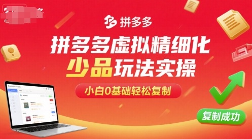 拼多多虚拟精细化少品玩法实操，小白0基础轻松复制-小千网络