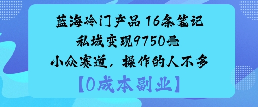 蓝海冷门产品：16条笔记私域变现9750米小众赛道，操作的人不多-小千网络