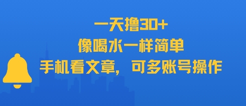 一天撸30+，像喝水一样简单，手机看文章，可多账号操作-小千网络