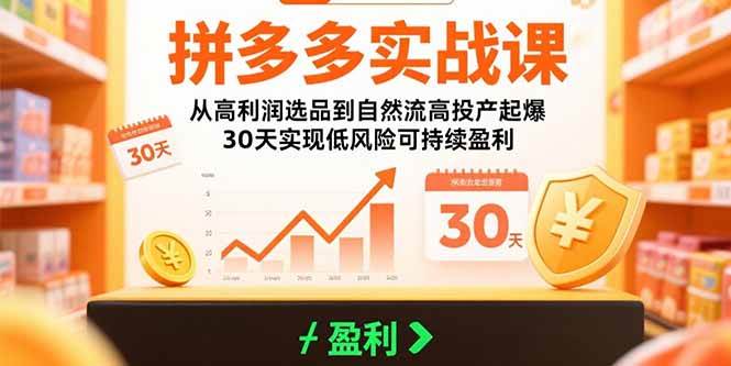 （15586期）拼多多实战课：从高利润选品到自然流高投产起爆 30天实现低风险可持续盈利-小千网络
