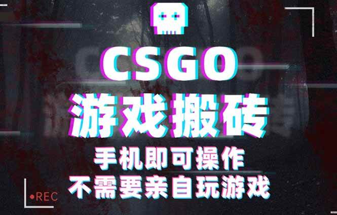 （16090期）CSGO游戏挂机捡漏，单日扫货500+，年底小高峰上车可吃肉，手机即可操作…-小千网络