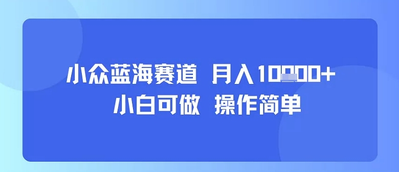 小众蓝海赛道，小白可做，操作简单，每天30分钟，月入1W+-小千网络