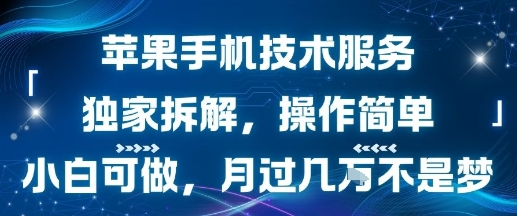 苹果手机技术服务，独家拆解，操作简单，小白可做，月过1W不是梦-小千网络