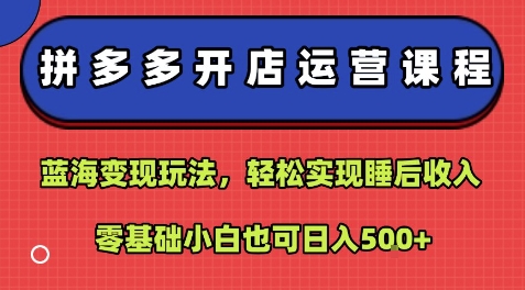 拼多多开店运营课程：蓝海变现玩法，轻松实现睡后收入，零基础小白也可日入5张-小千网络