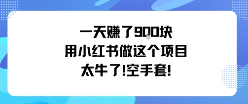 一天挣了9张用小红书做这个项目太牛了，空手套-小千网络