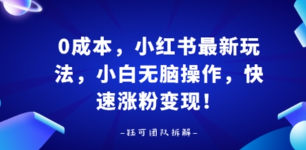 0成本，小红书最新玩法，小白无脑操作，快速涨粉变现-小千网络